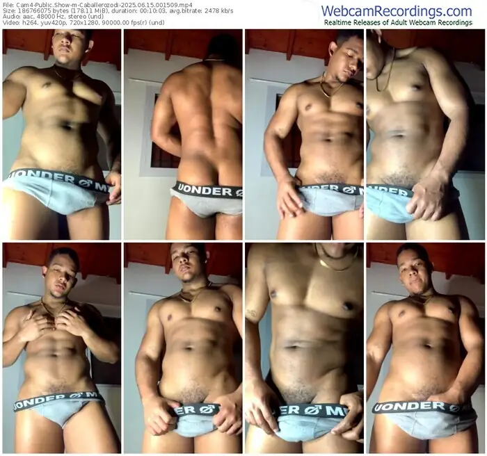 cam4-caballerozodi-06-15-2025-00-15-09