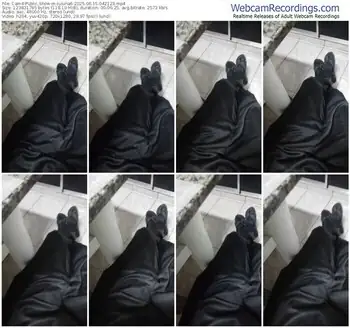 cam4-luluna6-06-15-2025-04-21-23