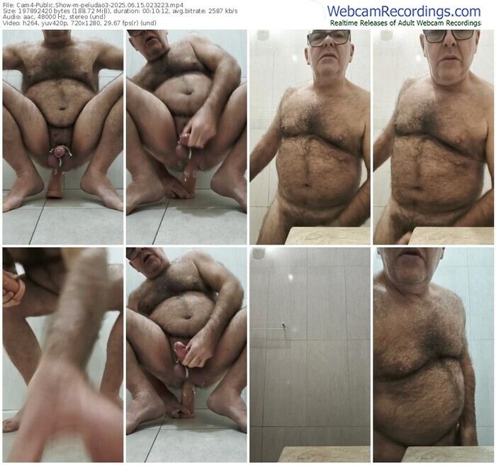 cam4-peludao3-06-15-2025-02-32-23