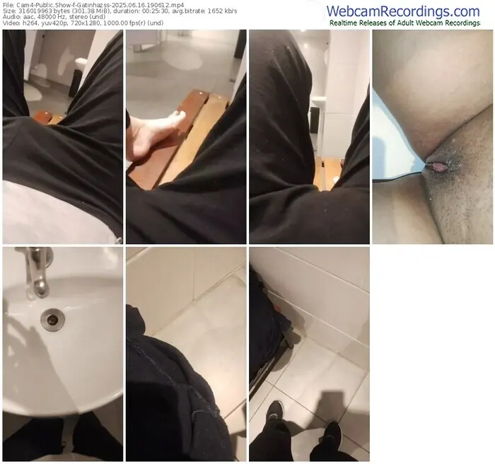 cam4-gatinhazss-06-16-2025-19-06-12