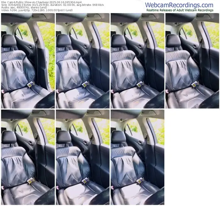 cam4-chavbear-06-16-2025-09-53-04