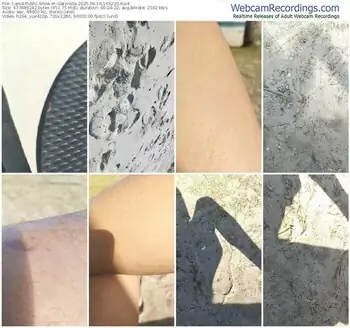 cam4-gatonota-06-16-2025-16-52-30