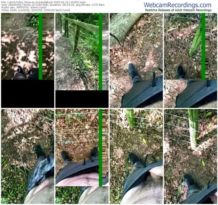 cam4-outandabout-06-16-2025-14-18-53