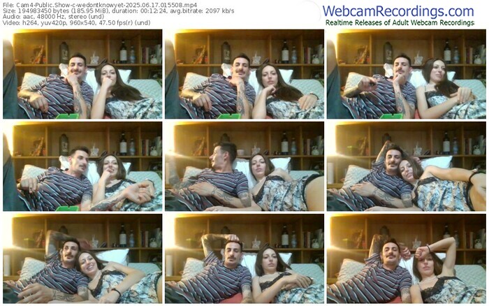 cam4-wedontknowyet-06-17-2025-01-55-08
