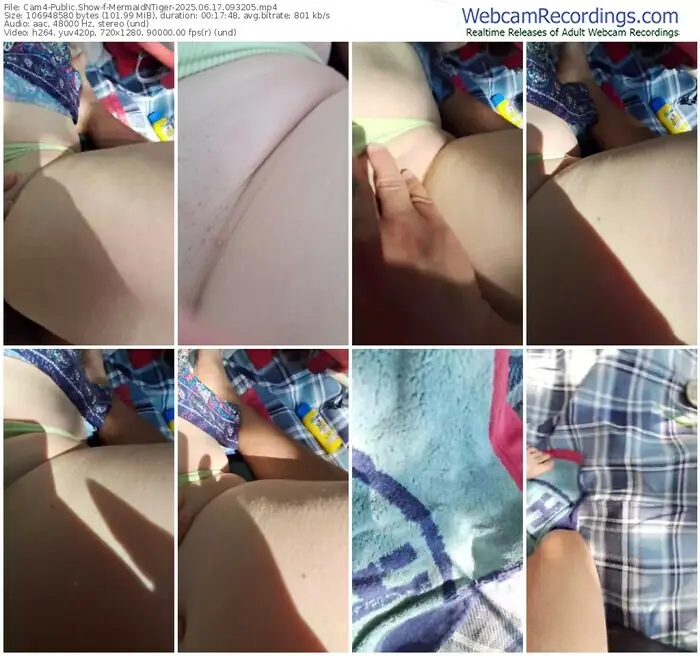 cam4-mermaidntiger-06-17-2025-09-32-05