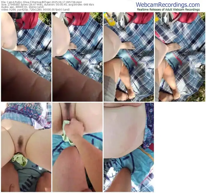 cam4-mermaidntiger-06-17-2025-09-57-38