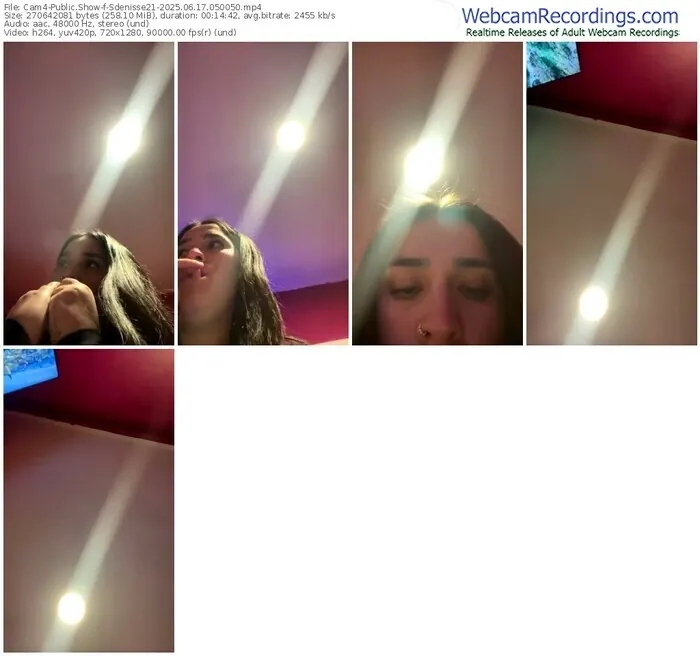 cam4-sdenisse21-06-17-2025-05-00-50