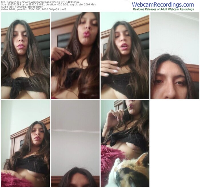 cam4-wlaydarsavage-06-17-2025-15-44-33