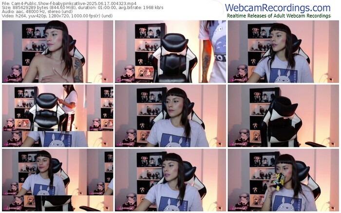 cam4-babypinkcatlive-06-17-2025-00-43-23