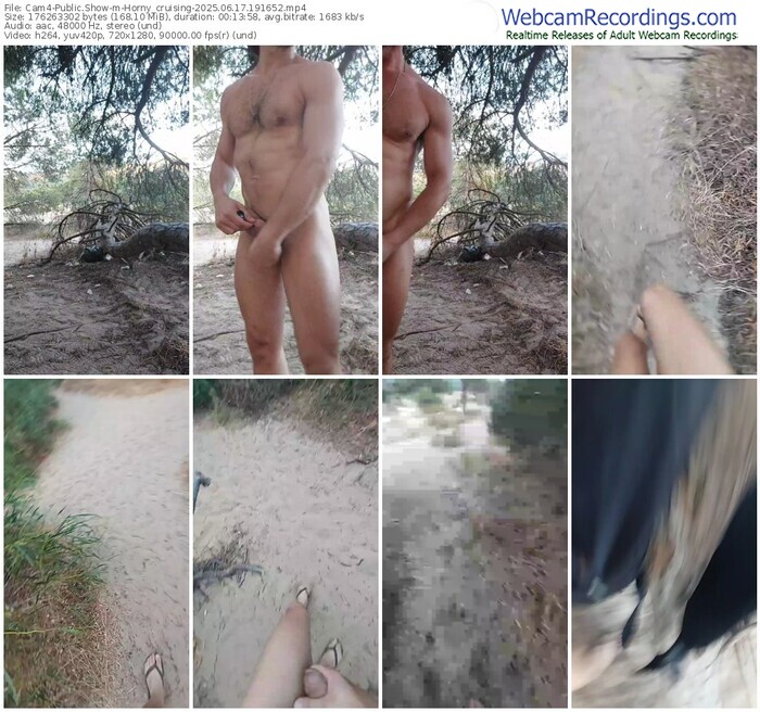 cam4-horny_cruising-06-17-2025-19-16-52