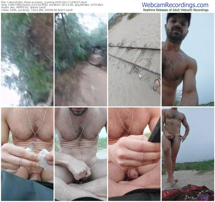 cam4-horny_cruising-06-17-2025-19-42-37