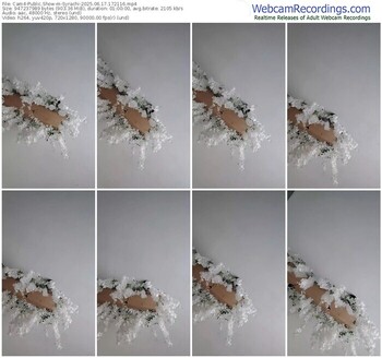 cam4-syrachi-06-17-2025-17-21-16