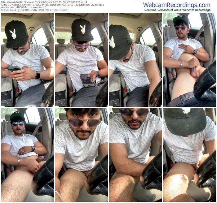 cam4-ticklishtiger43-06-17-2025-20-23-23