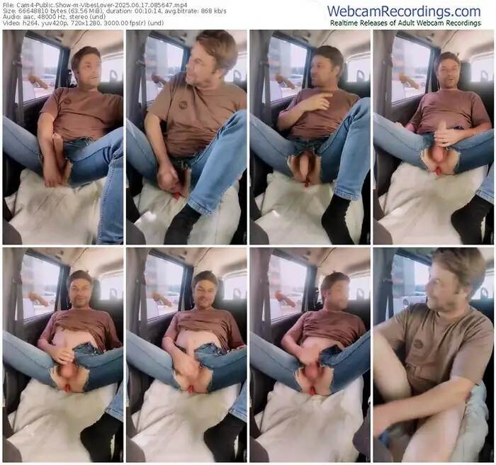 cam4-vibeslover-06-17-2025-08-56-47