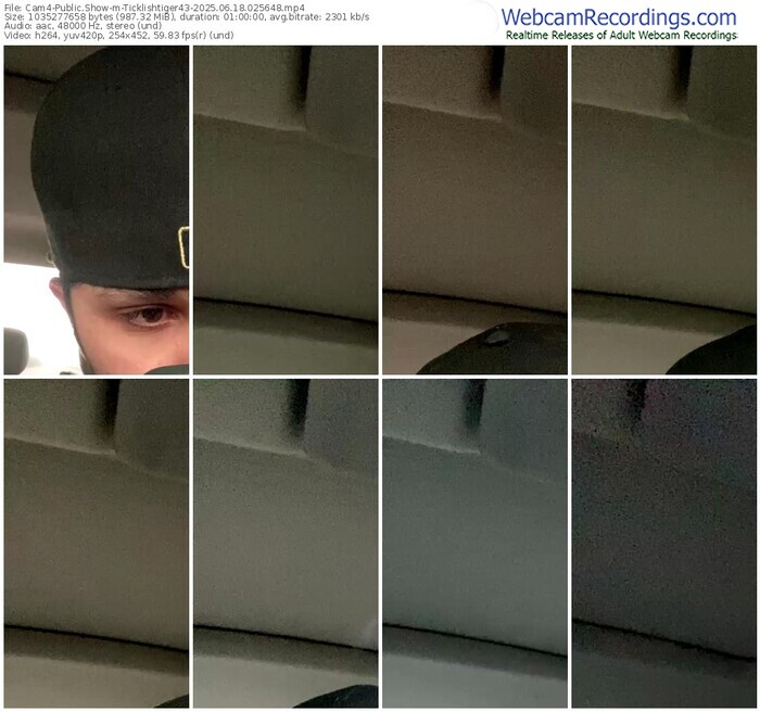 cam4-ticklishtiger43-06-18-2025-02-56-48