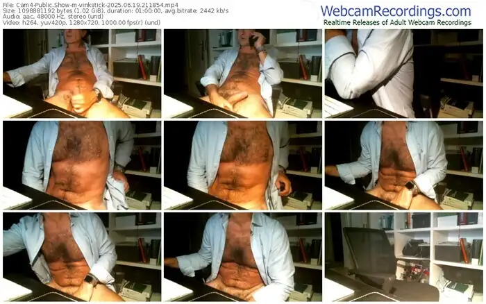 cam4-vinkstick-06-19-2025-21-18-54