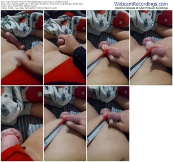cam4-prendidafuego-06-20-2025-19-38-43