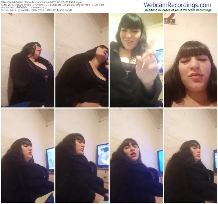cam4-nooocllama-06-20-2025-03-49-38