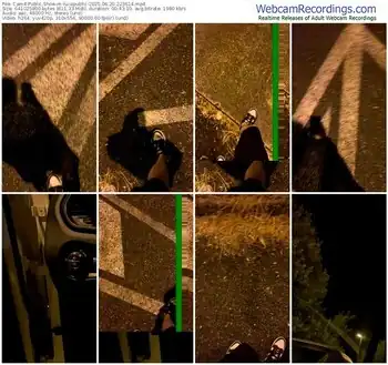 cam4-lucapublic-06-20-2025-22-36-14