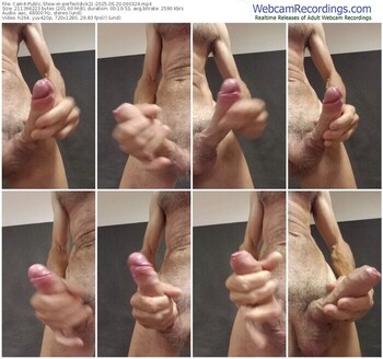 cam4-perfectdick21-06-20-2025-06-03-24