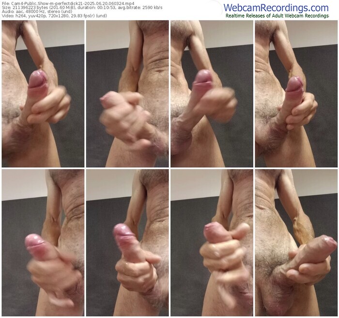 cam4-perfectdick21-06-20-2025-06-03-24