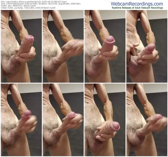 cam4-perfectdick21-06-20-2025-08-14-37