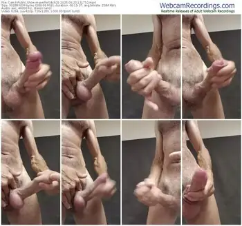 cam4-perfectdick21-06-20-2025-13-17-52