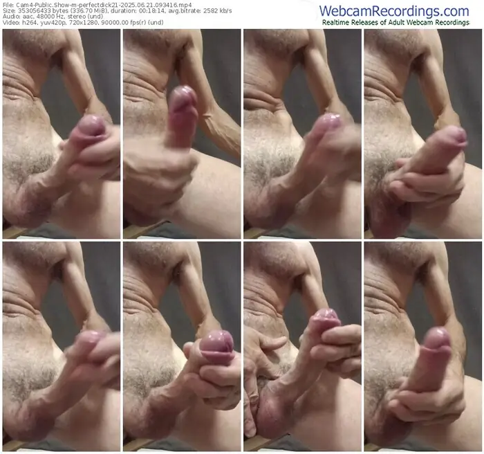 cam4-perfectdick21-06-21-2025-09-34-16