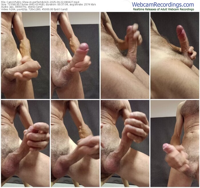 cam4-perfectdick21-06-22-2025-08-04-27