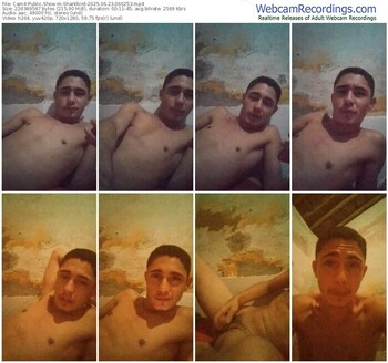 cam4-sharkbird-06-23-2025-06-02-53