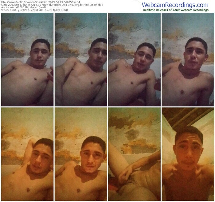 cam4-sharkbird-06-23-2025-06-02-53