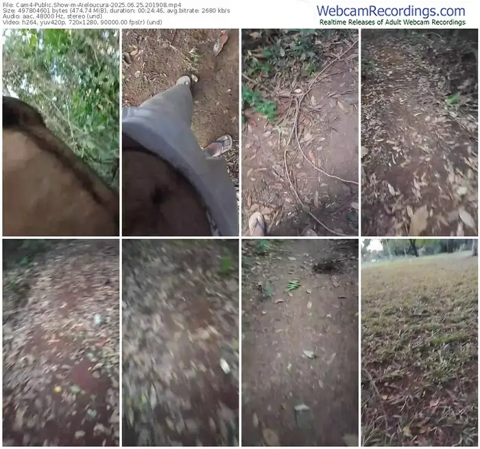 cam4-aieloucura-06-25-2025-20-19-08