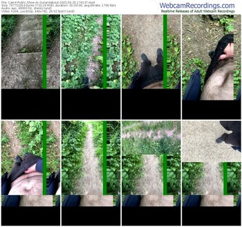 cam4-outandabout-06-25-2025-17-41-37