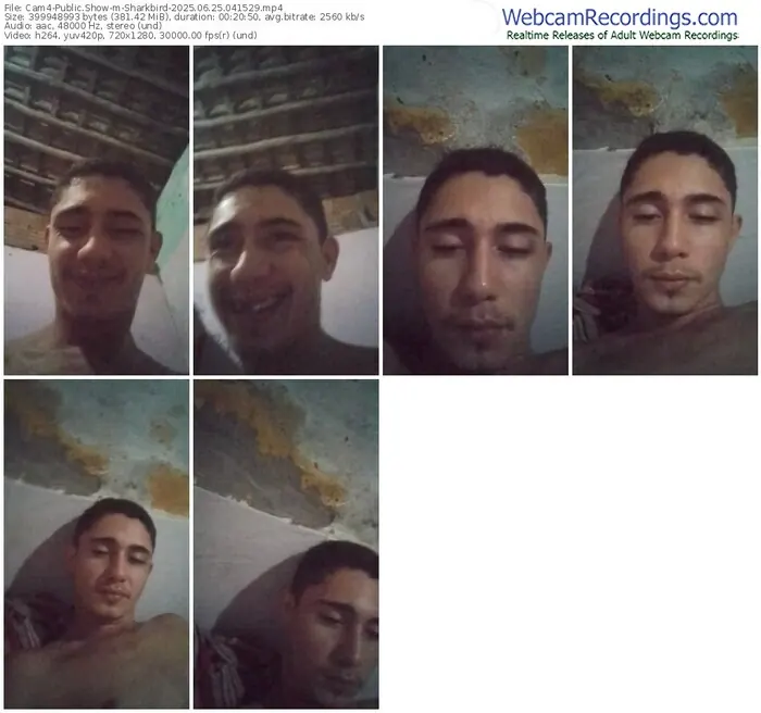 cam4-sharkbird-06-25-2025-04-15-29