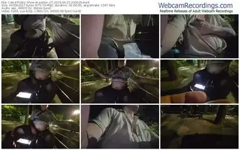 cam4-pollen_07-06-25-2025-20-00-29