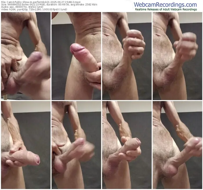 cam4-perfectdick21-06-27-2025-15-48-13