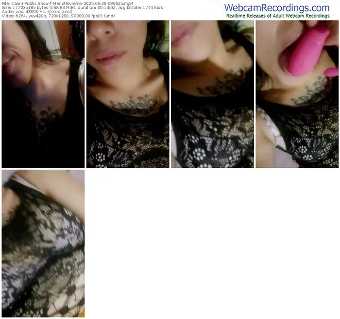 cam4-merlotinvierno-06-28-2025-09-06-25