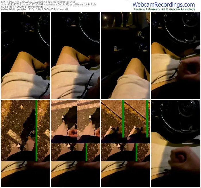 cam4-lucapublic-06-28-2025-00-03-09