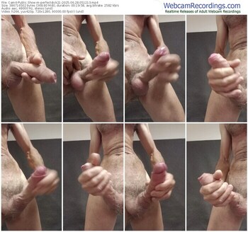 cam4-perfectdick21-06-28-2025-05-12-13