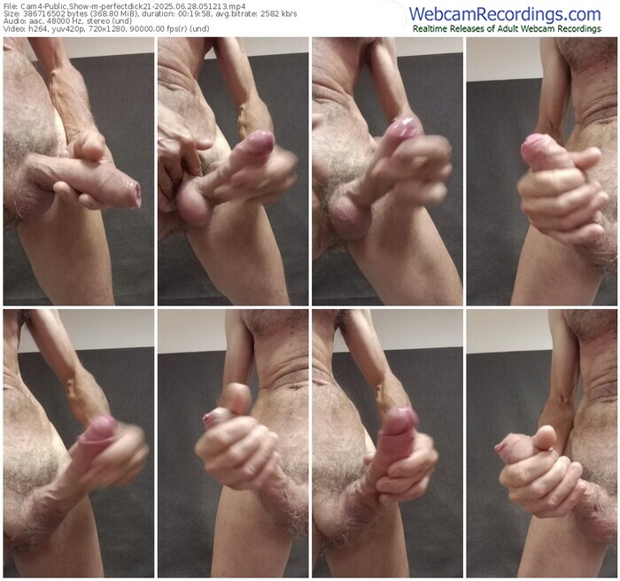 cam4-perfectdick21-06-28-2025-05-12-13