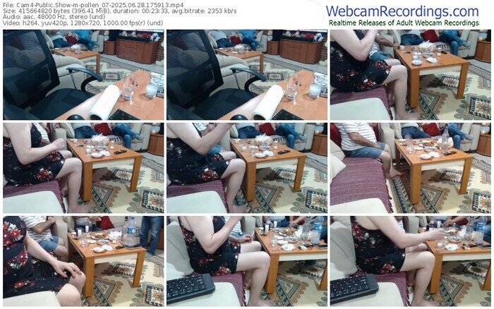 cam4-pollen_07-06-28-2025-17-59-13