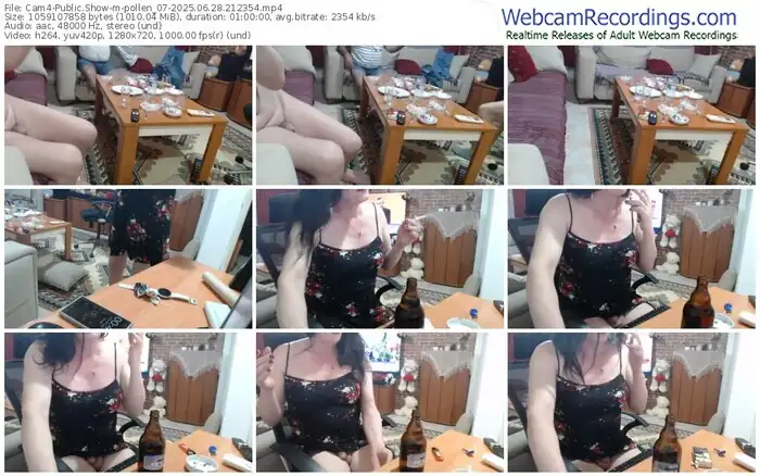 cam4-pollen_07-06-28-2025-21-23-54