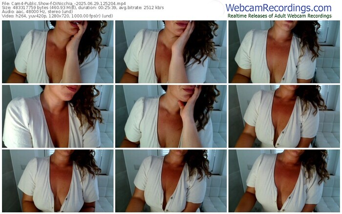 cam4-dinicchia_-06-29-2025-12-52-04