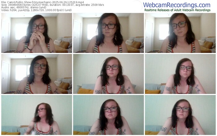 cam4-tinymechanic-06-29-2025-12-52-19
