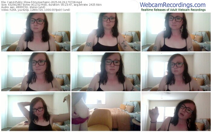 cam4-tinymechanic-06-29-2025-17-07-28