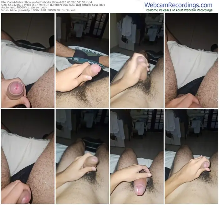 cam4-pedrinhodot19cm-06-29-2025-15-31-55
