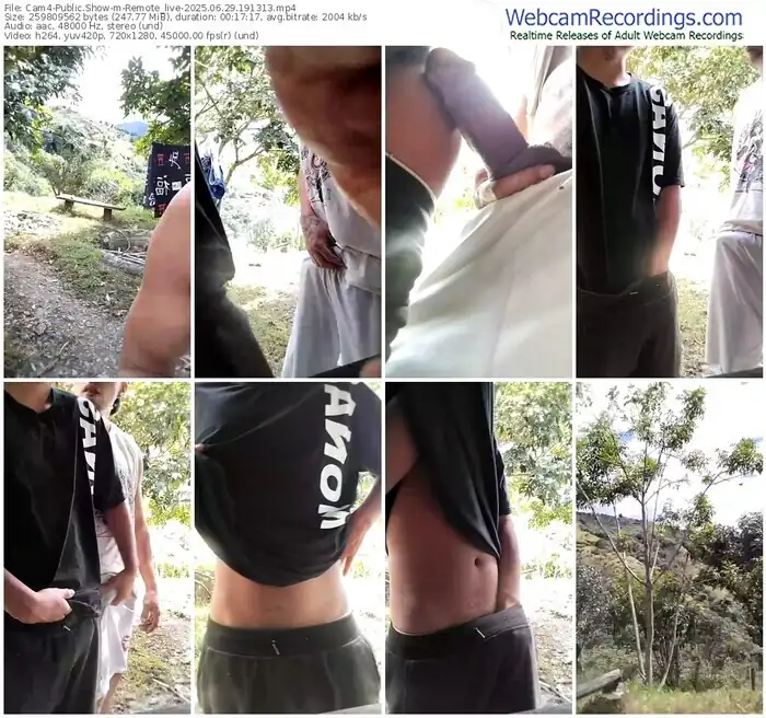 cam4-remote_live-06-29-2025-19-13-13