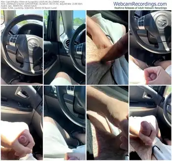 cam4-lucapublic-06-29-2025-10-48-45