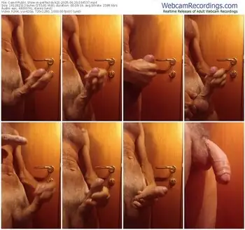 cam4-perfectdick21-06-29-2025-03-45-37