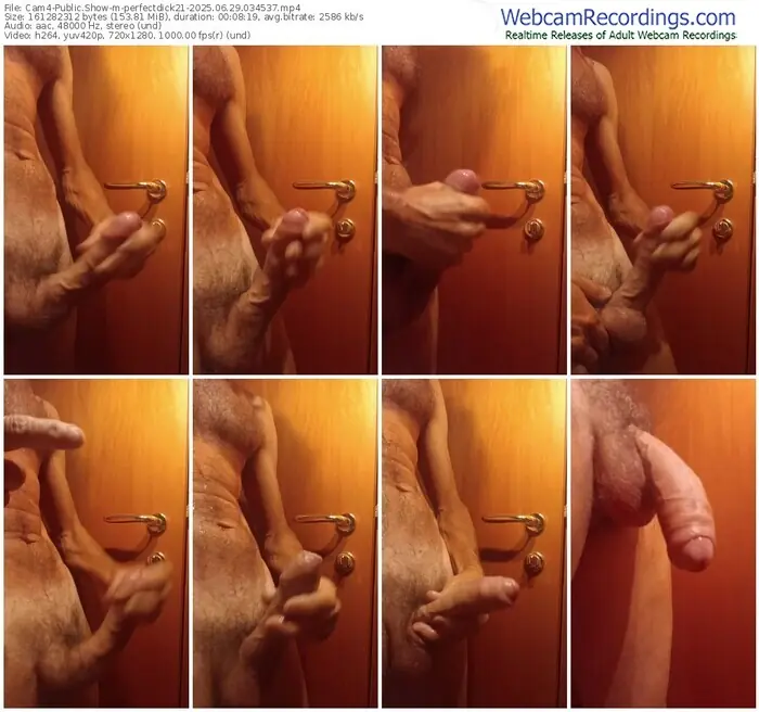 cam4-perfectdick21-06-29-2025-03-45-37